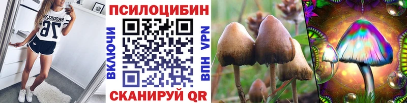 купить сайты Томмот Псилоцибиновые грибы GOLDEN TEACHER